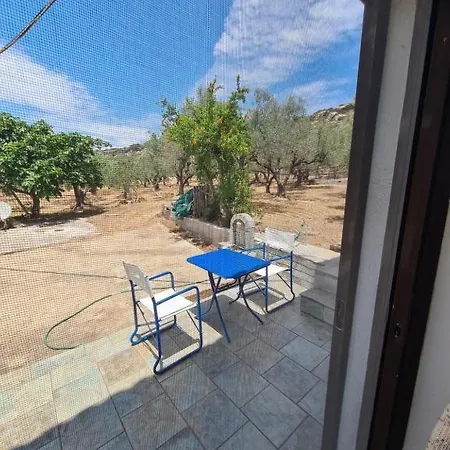 το κτήμα της ελιάς του τάκη