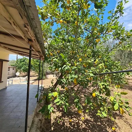 το κτήμα της ελιάς του τάκη *