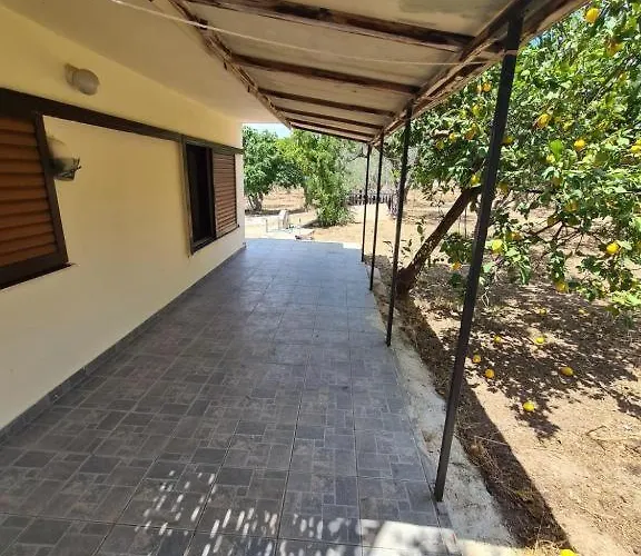 το κτήμα της ελιάς του τάκη