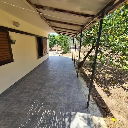 το κτήμα της ελιάς του τάκη