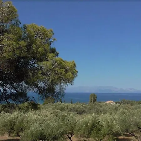 το κτήμα της ελιάς του τάκη Country house *