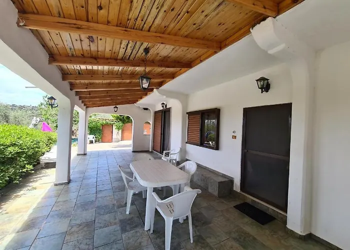 το κτήμα της ελιάς του τάκη Paralia Demonias