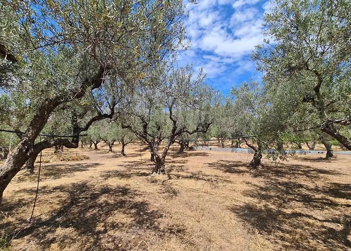 το κτήμα της ελιάς του τάκη Летний дом