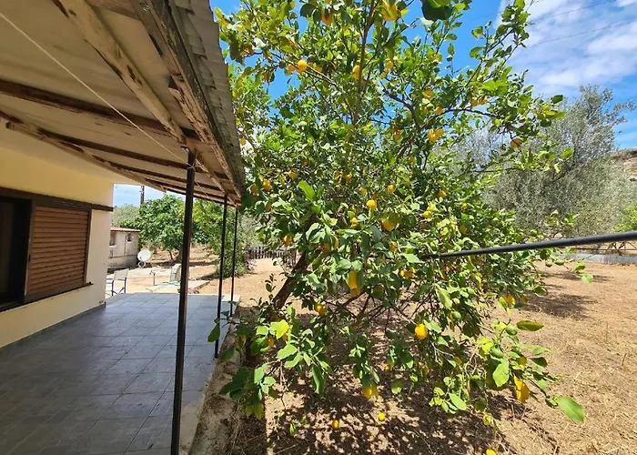 το κτήμα της ελιάς του τάκη *